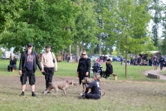 Festival Life. Day 2 @ KILKIM ŽAIBU 2025