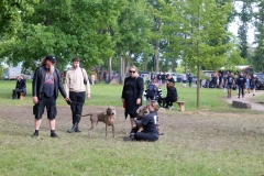 Festival Life. Day 2 @ KILKIM ŽAIBU 2025