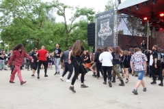 Festival Life. Day 2 @ ZOBENS UN LEMESS 2025 