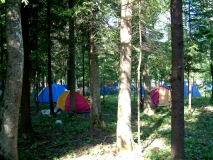 Festival Life @ KILKIM ŽAIBU 2005