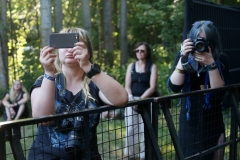 Festival Life (part 3) @ KILKIM ŽAIBU 2019
