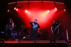 THE VOYNICH CODE @ Vilnius (2025)