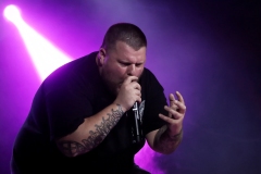 THE VOYNICH CODE @ Vilnius (2025)