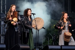 SEN SVAJA @ KILKIM ŽAIBU 2014