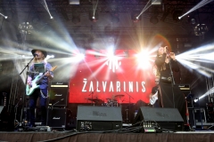 ŽALVARINIS @ ZOBENS UN LEMESS 2018