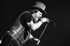 ZUCCHERO @ Vilnius (2017)